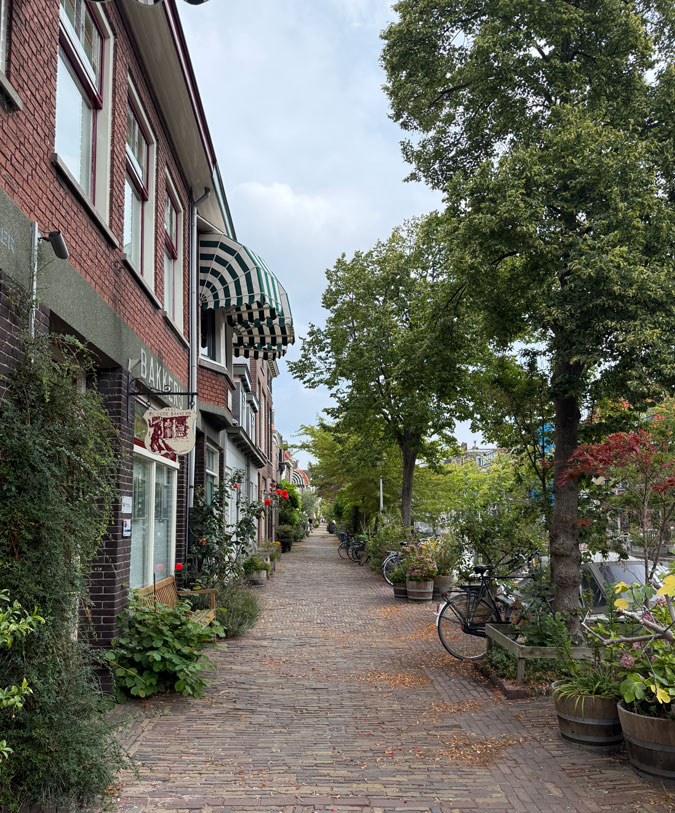 Canal street in Delft