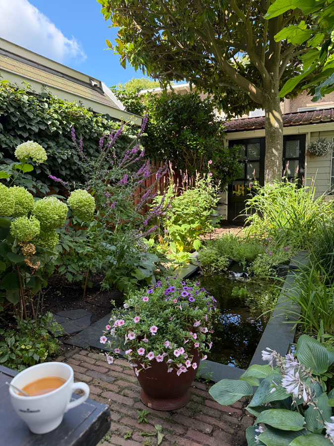 Garden afterwards