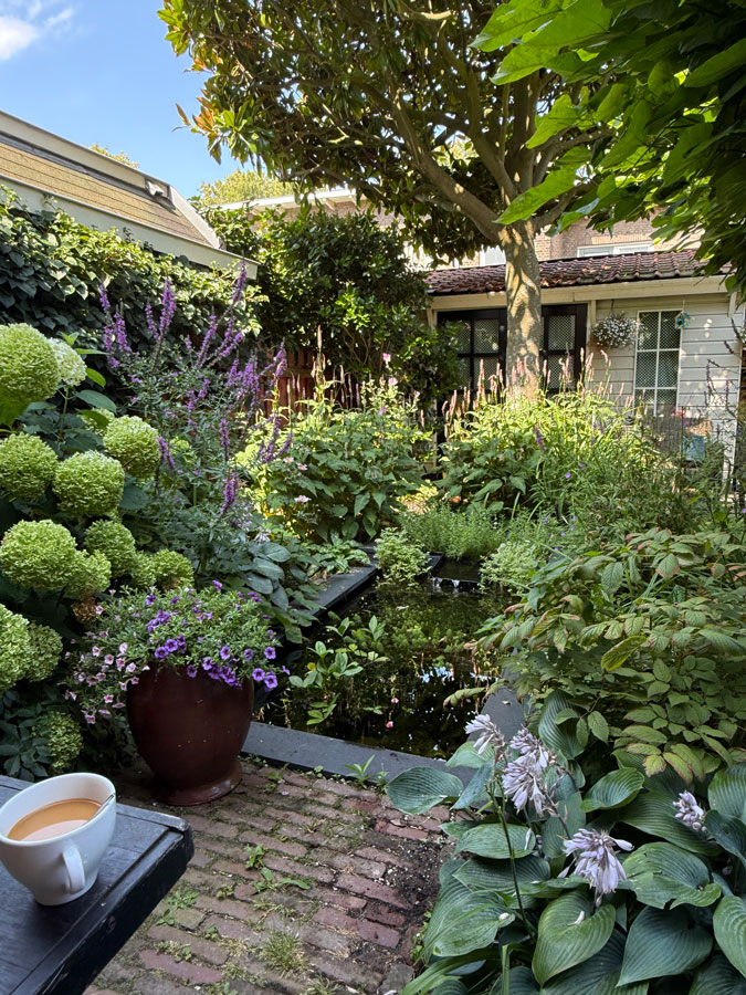 Garden before the gardener came