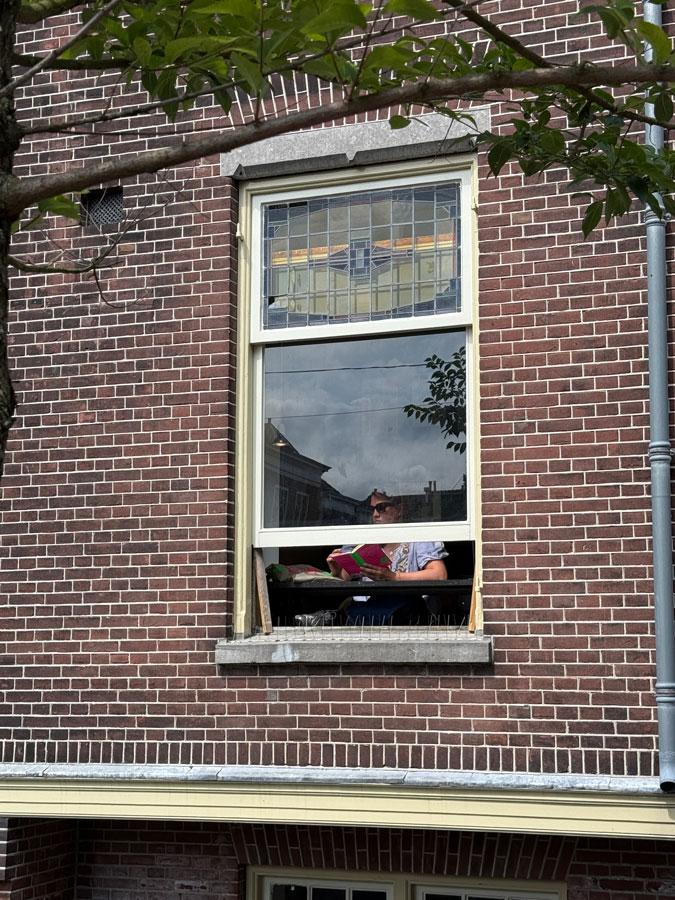 Girl reading a book in the window