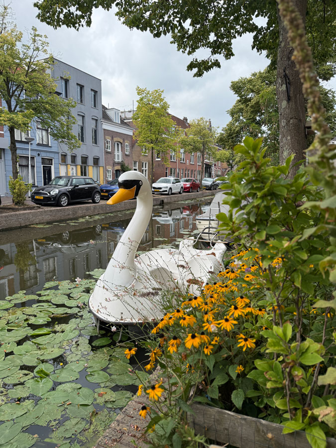 Swan boat