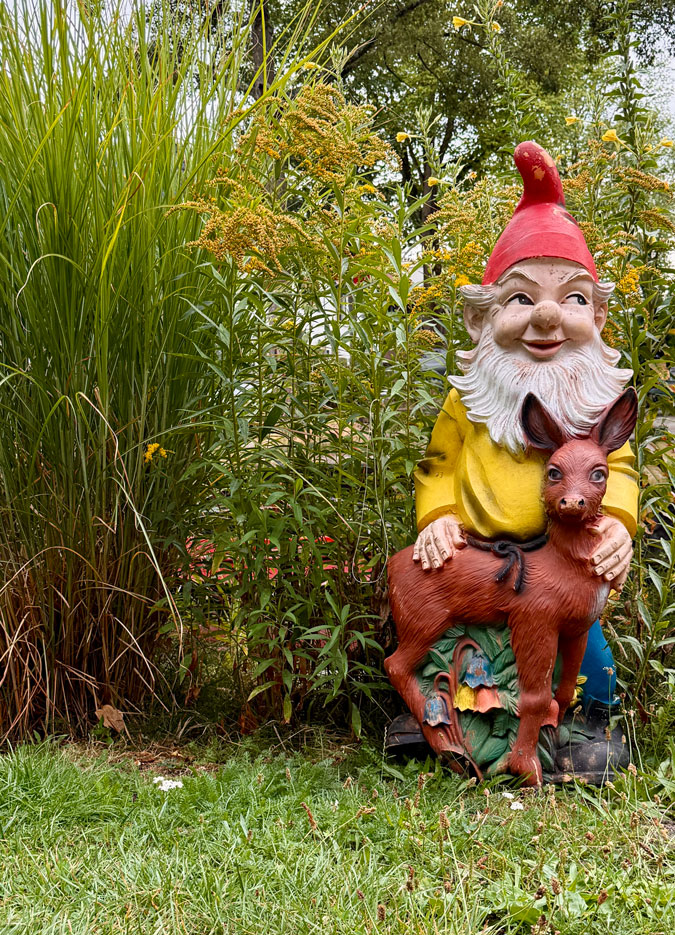 Gnome