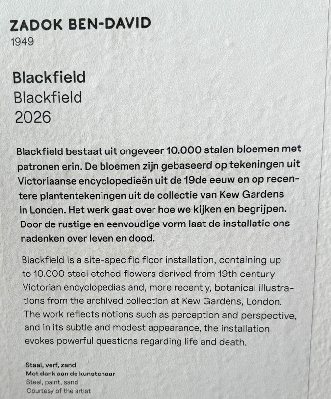 Blackfield explanation