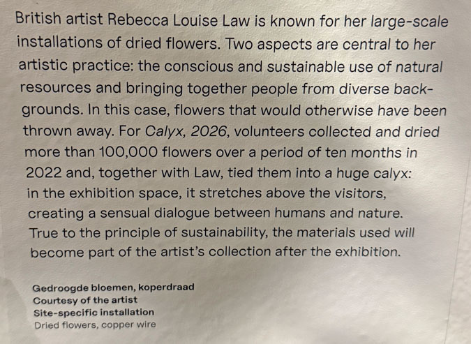 Explanation dried flowers