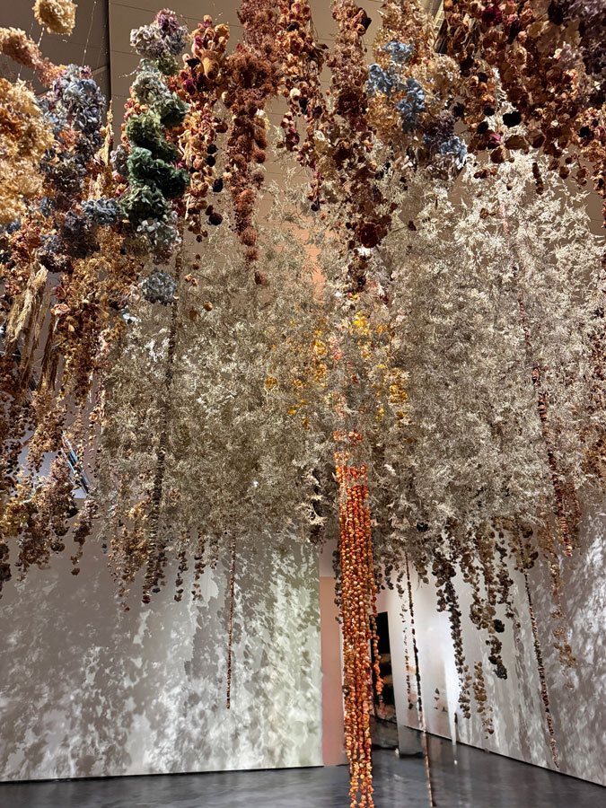 Kunsthal Rotterdam Flower exhibition