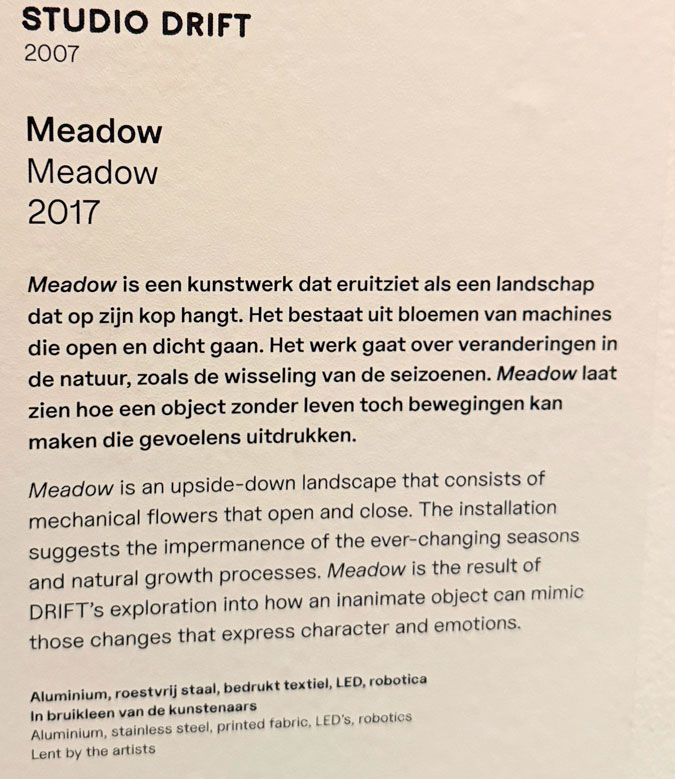 Meadow explanation