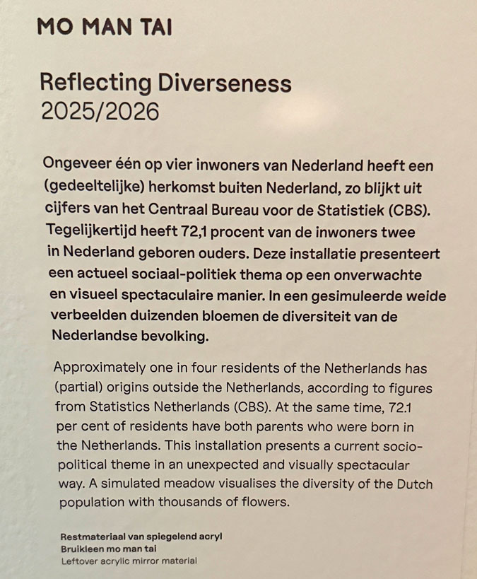 Reflecting diverseness explanation
