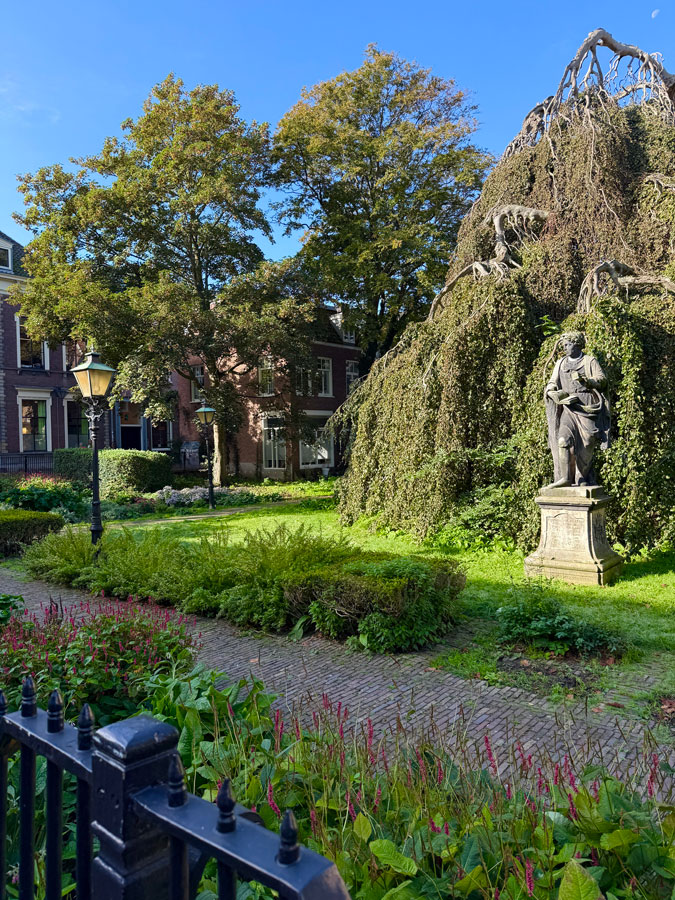 Haarlem in the sunshine